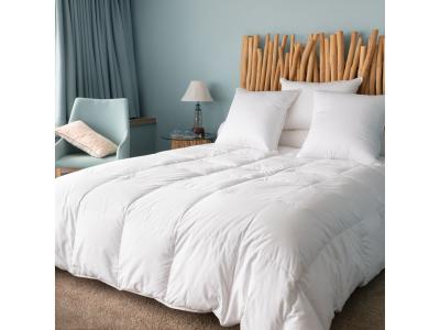 CASTEX COUETTES NATURELLES Couette naturelle l&eacute;g&egrave;re en duvet et coton bio 240x220&nbsp;cm