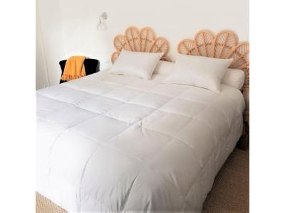 CASTEX COUETTES NATURELLES Couette &Eacute;t&eacute; oie 260x240 cm 90% duvet neuf -  - L&eacute;g&egrave;re - Coton bio 