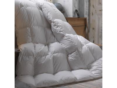 SENSEI MAISON Couette naturelle CHAUDE 40% Duvet 240X260 cm