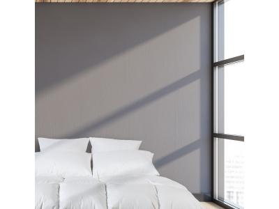 SENSEI MAISON Couette naturelle CHAUDE 70% duvet 240x220 cm