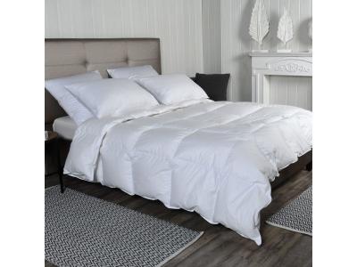 SENSEI MAISON Couette naturelle TEMPEREE 50% duvet 260x240 cm