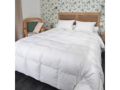 CASTEX COUETTES NATURELLES Couette Mi-saison oie 240x220 cm 90% duvet neuf -  - Chaude - Coton bio 