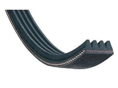 GENERIQUE Courroie 1966h9 El Optibelt Pour Seche Linge - Blh773un