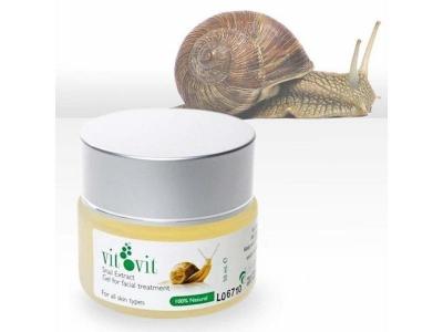 DIET ESTHETIC  - Vit Snail Extract Gel  Soin visage 50 ml