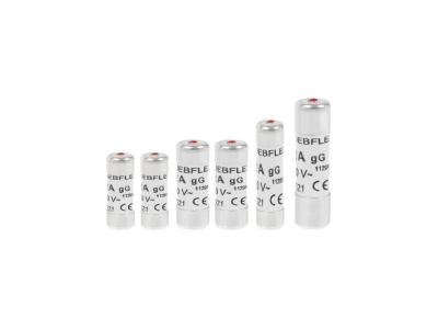 DEBFLEX Fusible Avec Voyant Lot 2x(10a+16a) 1x(20a+32a) Sachet De 6