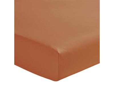 ESSIX Drap housse  Ecureuil en percale de coton 80 fils 180 x 200