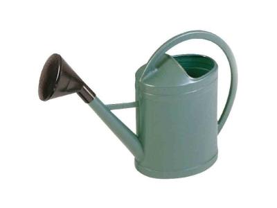 EDA  - Arrosoir plastique ovale + pomme 3 L