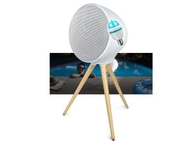 MUSE Enceinte portable ML-655 BT, 100W, sur Batterie, Bluetooth, LED Color -IPX4, Resistance aux projections d'eau, Light DIAMS 