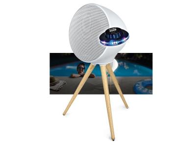 MUSE Enceinte portable  ML-655 BT, 100W, sur Batterie, Bluetooth, LED Color - IPX4, Resistance aux projections d'eau, Light OVNI