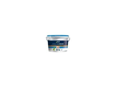 BOSTIK Enduit De Lissage P&acirc;te  - Le Pot De 5 Kg