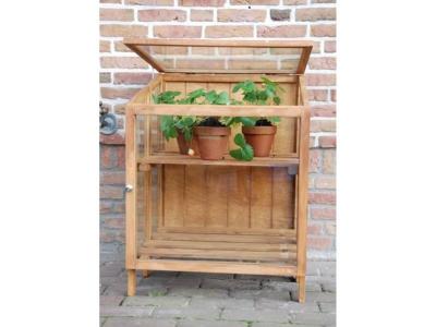 ESSCHERT DESIGN  - Mini serre de jardin en bois dur 60 cm