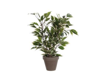 Plante d&eacute;corative mica decorations 4 x 11,5 cm c&eacute;ramique pvc ficus