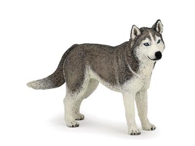 PAPO  54035 Figurine Husky de Sib&eacute;rie