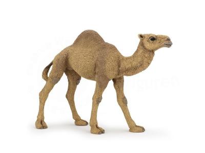 PAPO  - 50151 - Dromadaire