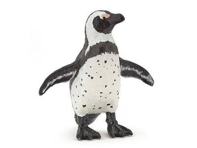 PAPO  - Manchot du Cap 