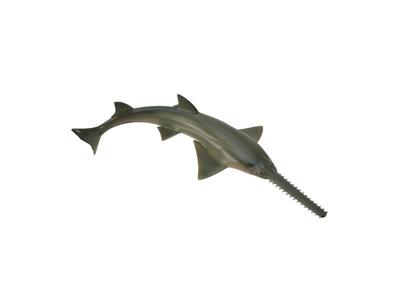 FIGURINES COLLECTA Figurine poisson scie  