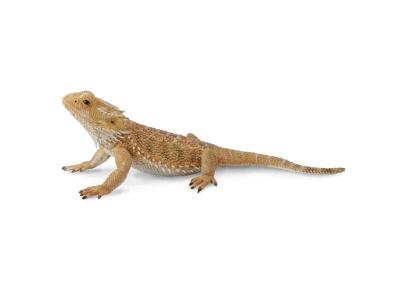 FIGURINES COLLECTA Collecta insectes : l&eacute;zard dragon barbu 13,5 cm marron 
