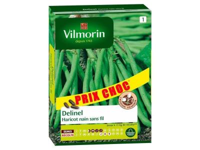 VILMORIN  1149564 Pack de Graines Haricot Delinel Obtention
