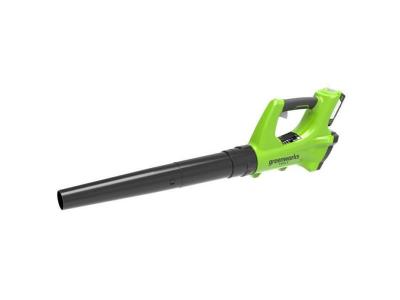 GREENWORKS Souffleur  24V - 1 batterie 2.0 Ah - 1 chargeur - G24ABK2