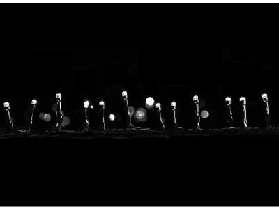 JARDIDECO Guirlande lumineuse programmable 96 LED Blanc - Minuterie 8 heures