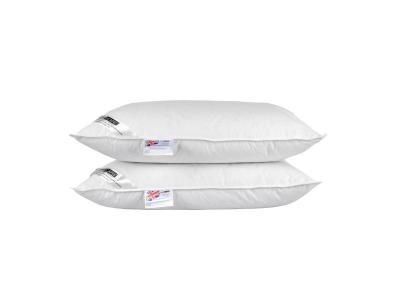 HOMESCAPES Lot de 2 oreillers naturels en plumes et duvet de canard, 50 x 75 cm