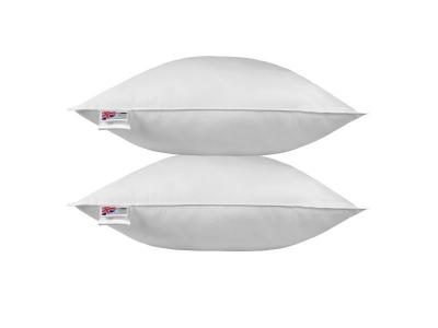 HOMESCAPES  oreiller en plumes de canard 80 x 80 cm - lot de 2 DP1232
