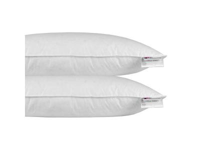HOMESCAPES Oreiller en Plumes et duvet d'oie 40 x 80 cm - lot de 2