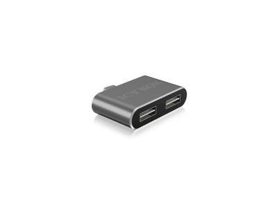 ICY BOX Icybox Ib-hub1201-c type C vers 2 x Type adaptateur USB 2.0 - Anthracite