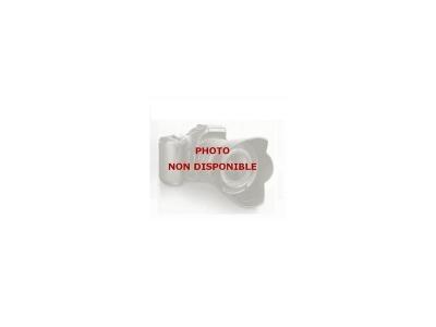  K&auml;rcher 6.997-345.0 Filtre d'aspiration (avec clapet anti-retour, 3/4"")
