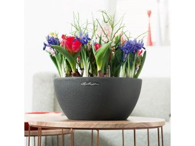 LECHUZA  Jardini&egrave;re CUBETO Color 30 ALL-IN-ONE Noir graphite 13832