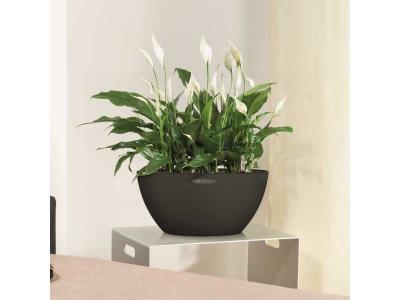LECHUZA  Jardini&egrave;re CUBETO Color 40 ALL-IN-ONE Noir graphite 13842