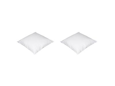 NON RENSEIGNE Lot de 2 oreillers luxe enveloppe percale anti-acariens someo 60x60