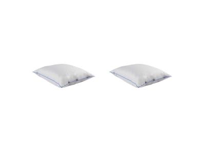 NON RENSEIGNE Oreiller moelleux duvet (lot de 2)