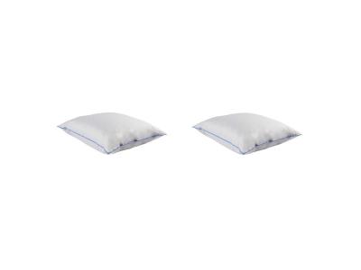 NON RENSEIGNE Lot de 2 oreillers moelleux/ferme duvet de canard anti-allerg&egrave;nes Someo 45x70 