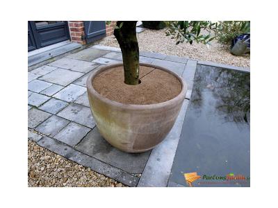 HTTPS: OUTIROR.COM IMG P 5 7 6 9 5769.JPG Disques de plantation en coco 750gr/m&sup2; &Oslash;30cm lot de 3
