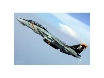 TRUMPETER Maquette avion  Grumman F-14B Tomcat- - Maquette d'avion
