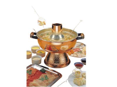 TTM  marmite &agrave; fondue chinoise 1200w - 16115