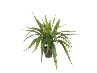 Plante artificielle Vert Plastique H54xl66xL66cm