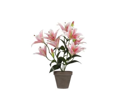 Plante artificielle Rose Polyester H47xl45xL45cm
