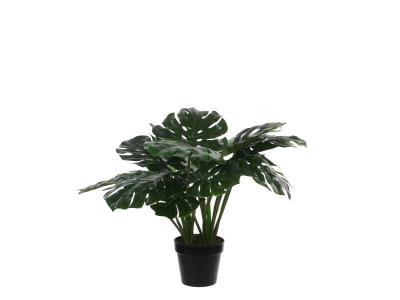 Plante artificielle Vert Polyester H60xl80xL80cm