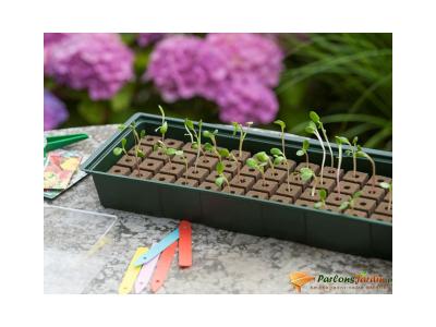 NATURE  Kit de mini propagateur 4x16 cellules