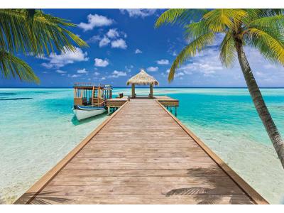 KOMAR Photo murale de  Beach Resort - Taille: 368 x 254 cm - vert/blue