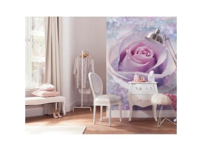 KOMAR Photo murale - 184 x 248 cm - panoramique intiss&eacute; - Delicate Rose