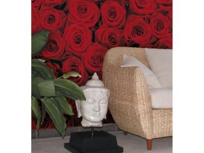 KOMAR Papier Peint - Roses 194x270cm - Papier, 