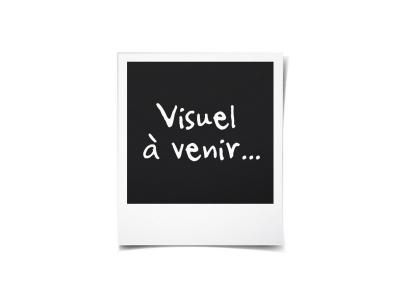 Peluche 15 Cm Ruben La Pat Patrouille Gund - La Pat' Patrouille