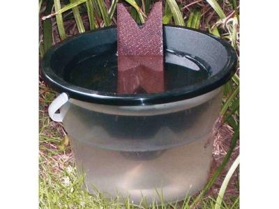 OR BRUN Pi&egrave;ge anti larve de moustique &eacute;cologique