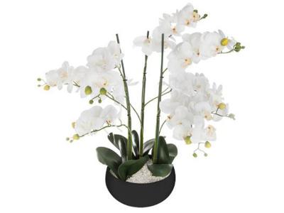 PEGANE  Plante artificielle Orchid&eacute;e - 65 cm