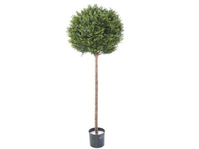 PEGANE Plante artificielle haute gamme Sp&eacute;cial ext&eacute;rieur / Buis Artificiel coloris vert - Dim : 140 x 55 x 55 cm 