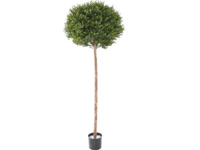 PEGANE Plante artificielle haute gamme Sp&eacute;cial ext&eacute;rieur / Buis Artificiel coloris vert - Dim : 170 x 62 x 62 cm 