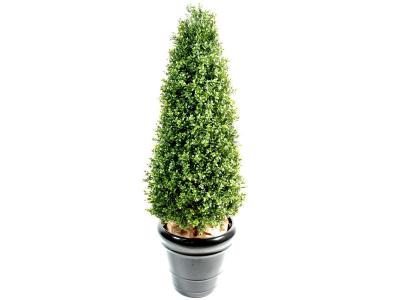 PEGANE  - Plante artificielle haute gamme Sp&eacute;cial ext&eacute;rieur / Buis Topiaire coloris vert - Dim : H.70 x D.40 cm